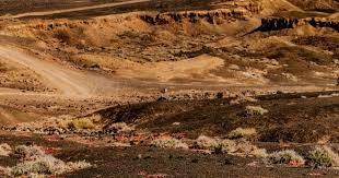 小法谈0-4失利：希望在惨败后成长，会看欧冠国米对阵红军